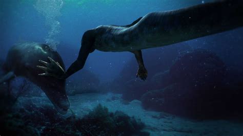 Sirene Il Mistero Svelato Paolo Lucciola Photography