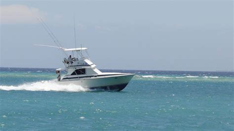 Aruba Fishing Charters | Best Deep Sea Fishing in Aruba 2023