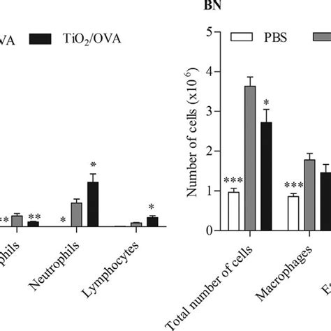 Analysis Of Cells In Balf From Sensitive Rats On Day Analysis Of