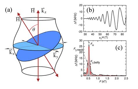 Physics Fermi Surface Reconstruction And The Origin Of High