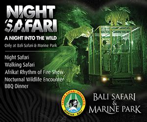 Harga Tiket Murah Night Safari di Bali Safari Marine Park | Cheap Ticket Fast Boat to Gili Trawangan