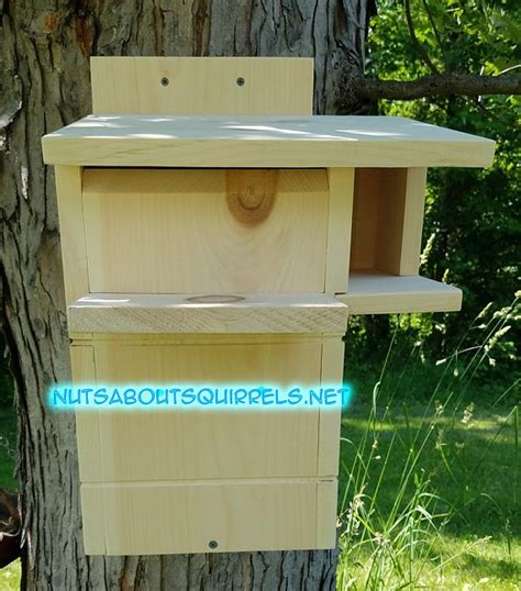 Wildlife Rehab Approved Gray Squirrel Nesting Box W Free Etsy