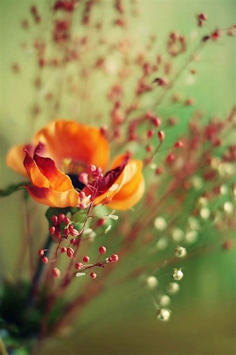 An Orange Flower In A Green Vase With Red Berries On The Stem And Other