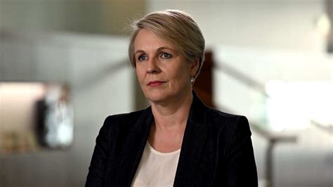 A Story That Is So Common Why Tanya Plibersek Chose Not To Contest