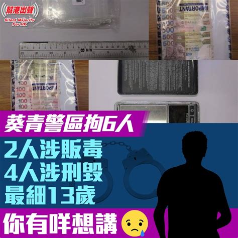 葵青警區拘6人2人涉販毒 4人涉刑毀 最細13歲