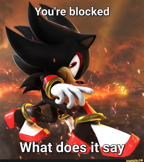 Funny Shadow The Hedgehog Memes