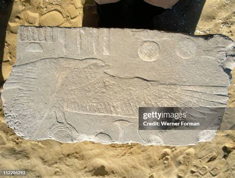 11 Saqqara Bird Stock Photos High Res Pictures And Images Getty Images