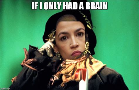 Imaging What She Could Do If She Had A Brain Imgflip