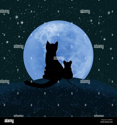 Gato Y Rat N Mirando La Luna Y El Cielo Estrellado Luna Borrosa