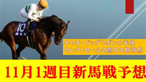 【11月1週目新馬戦予想】キセキ・ビッグリボンの半妹、ハミングデビュー！！セレクトセール2億円の期待馬フレミングフープも！ 競馬動画まとめ