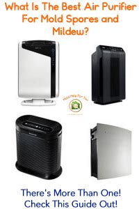 7 Best Air Purifiers For Mold | Mold Help For You