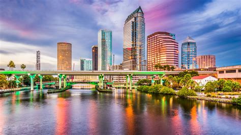 Top 17 Things To Do In Tampa Bay Florida