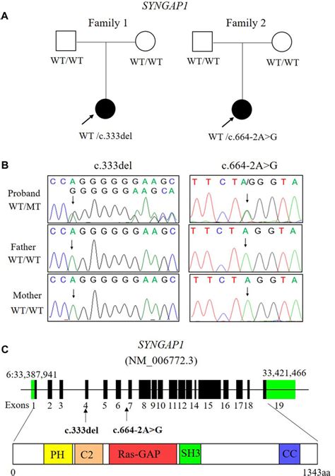 Frontiers Identification And Functional Characterization Of De Novo