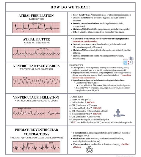 Equipments Necessary To Perform Venipuncture Artofit