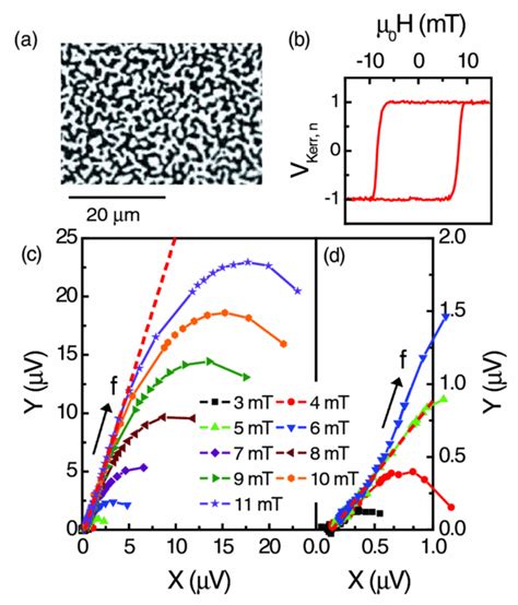 Kerr Microscopy Image Of The Demagnetized Domain Pattern A