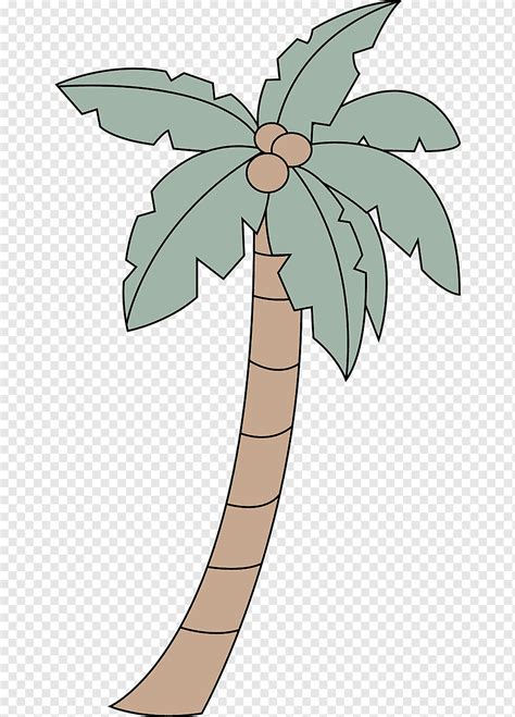 How To Draw A Palm Tree With Coconuts