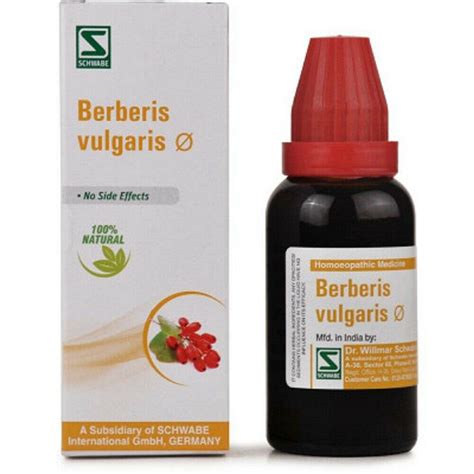 Dr Willmar Schwabe Berberis Vulgaris Mother Tincture 1xq 30ml The Mg Shop