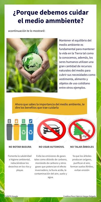 Infografia Del Medio Ambiente