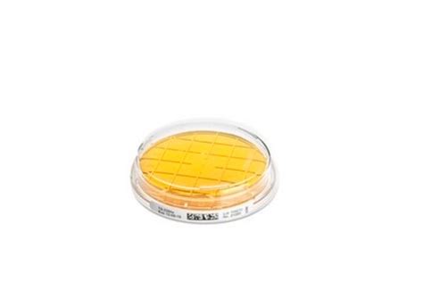 Tryptic Soy Agar Contact Plate With Lecithin Tween Histidine And