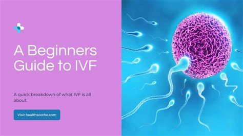 Starting Your IVF Journey What Every Beginner Should Know