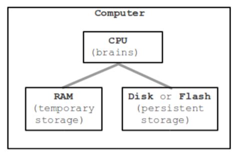 Computer Hardware Flashcards Quizlet