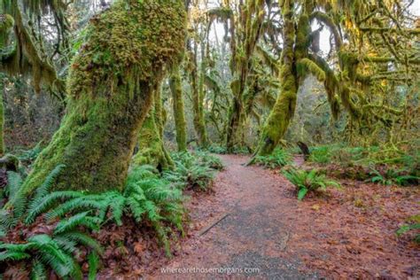 30 Best Road Trips In USA Most Scenic Drives In America