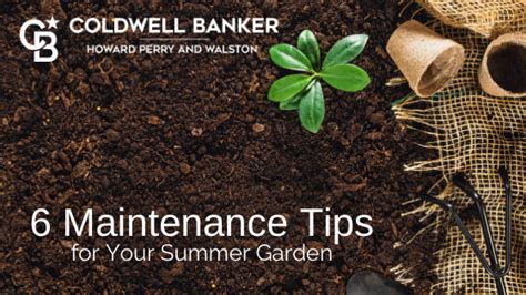 6 Maintenance Tips For Your Summer Garden Coldwell Banker Hpw