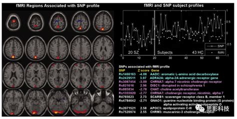 Ica Fmri