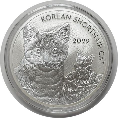 South Korea Korean Shorthair Cat Oz Silver Medal Ebay