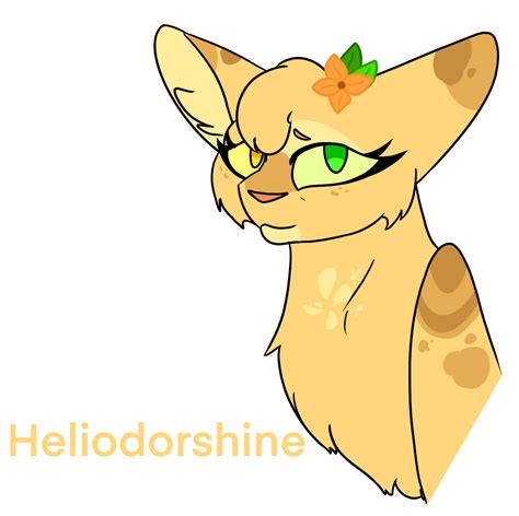 Warrior Cat Character design #7 by NightLight2005 on DeviantArt