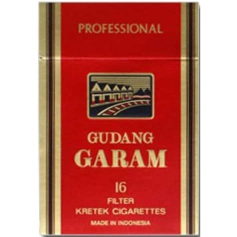 Gudang Garam Surya Logo