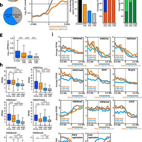 Distinct Layers Of Repressive Chromatin States Distinguish Genomic