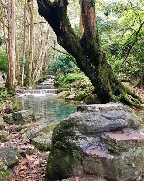 Cosas Que Puedes Hacer En La Sierra Gorda De Quer Taro