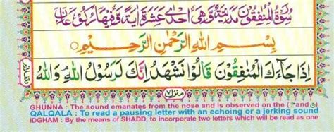 Surah AL Munafiqun - Quran and Surahs