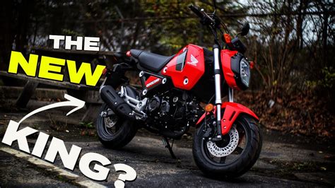 New Honda Grom 125 Review Better Than The Monkey Dax Super Cub