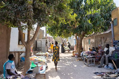 Joal Fadiouth Visite De L Tonnante Le Aux Coquillages