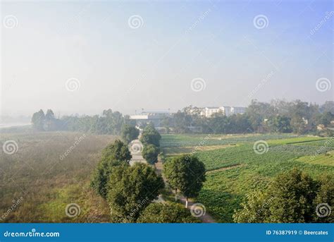 Country Road Through Verdant Farmland In Sunny Foggy Winter Morn Stock