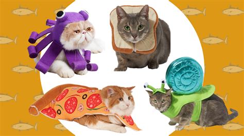 7 Cat Costumes for Halloween 2021 for Your Adorable Fur Friend - Woman ...