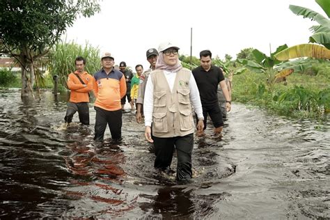 BPBD Palangka Raya 2 470 KK Terdampak Banjir ANTARA News