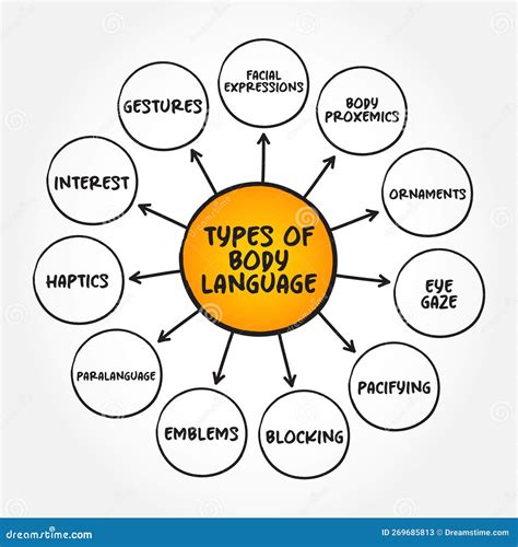 Types Of Body Language Range Of Nonverbal Signals That You Can Use To