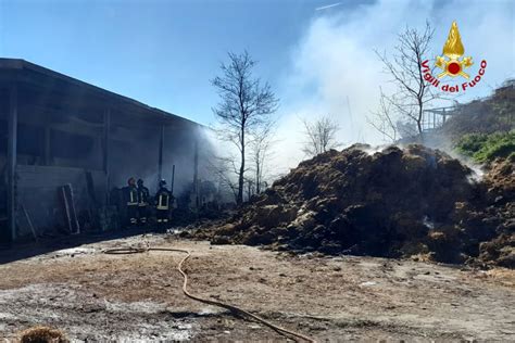 Incendio Di Un Capannone A Carpeneto Il Lavoro Dei Vigili Del Fuoco