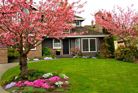 Quel Arbre Planter Devant Une Maison En Novembre Pour Un Petit Jardin