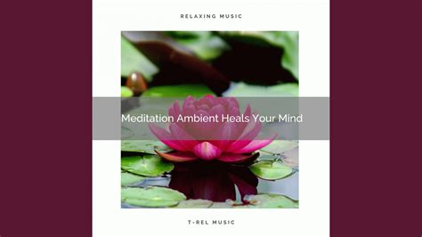 Meditation Ambient Heals Your Body Youtube