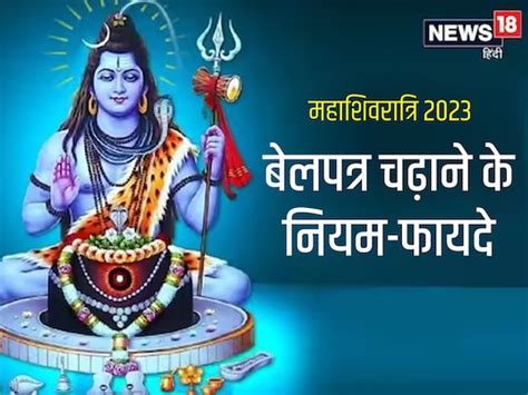 Mahashivratri 2023 Bell Patra Plucking And Offering Rules To Please