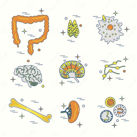 Immune System Icon Set Stock Vector Illustration Of Medical 92981747