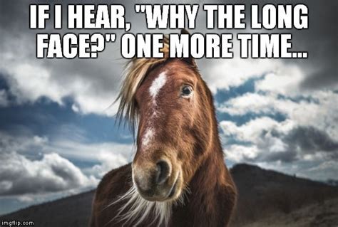 Horse face Memes