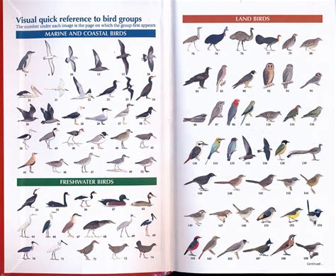 The Compact Australian Bird Guide: A Field Guide Review - 10,000 Birds