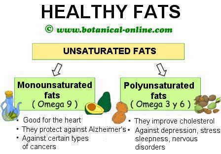 Monounsaturated Fat Omega Flash Sales Ladorrego Ar