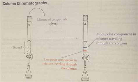 ORGO MCAT Chapter 5 Flashcards Quizlet