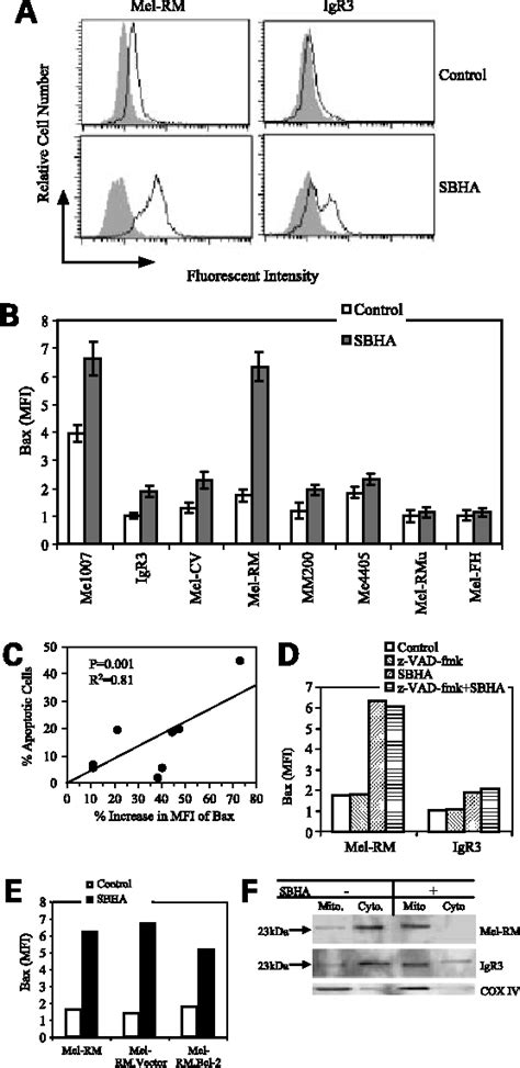 Figure 5 From The Histone Deacetylase Inhibitor Suberic Bishydroxamate